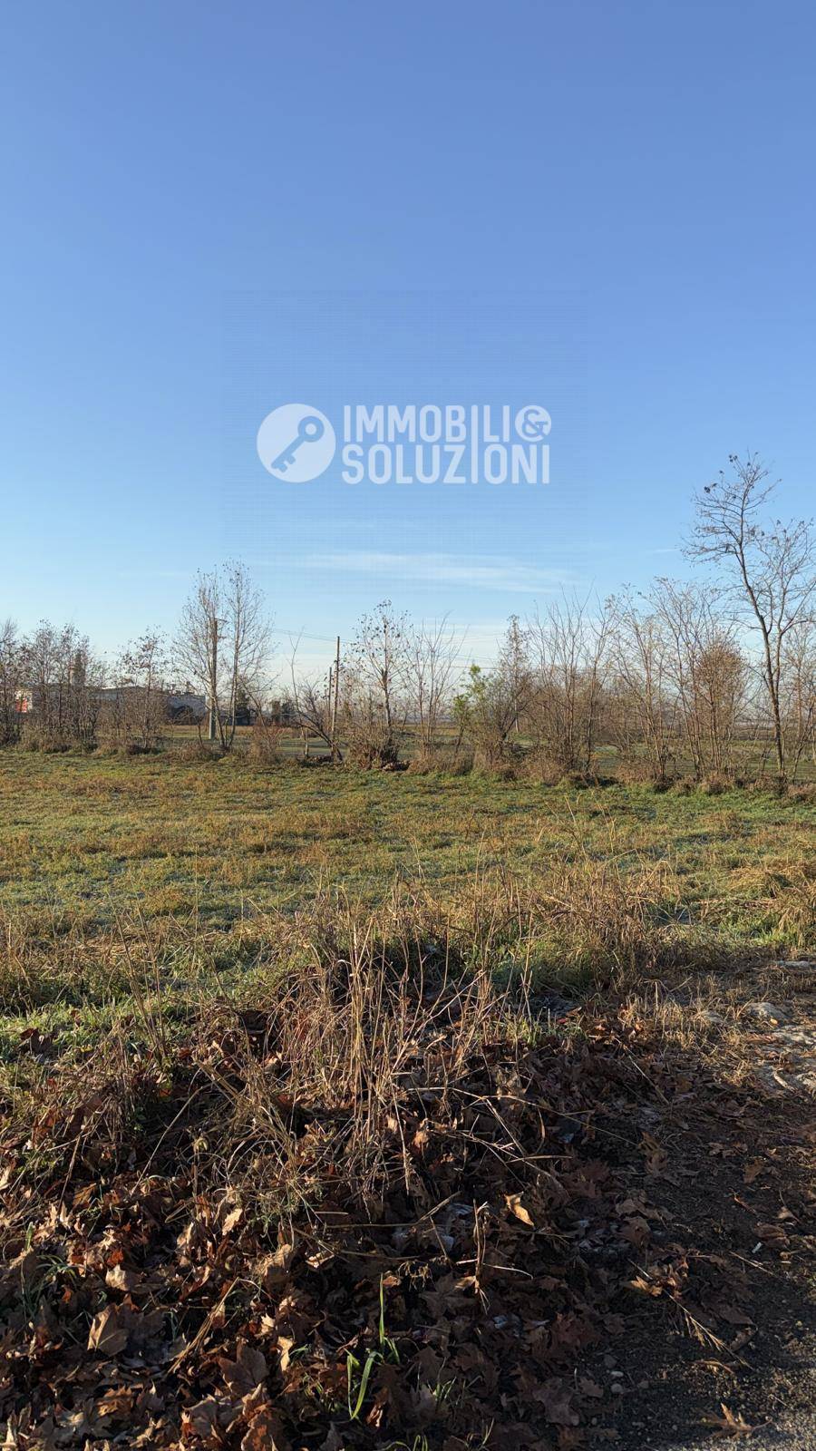 immagine annuncio 3 di 8