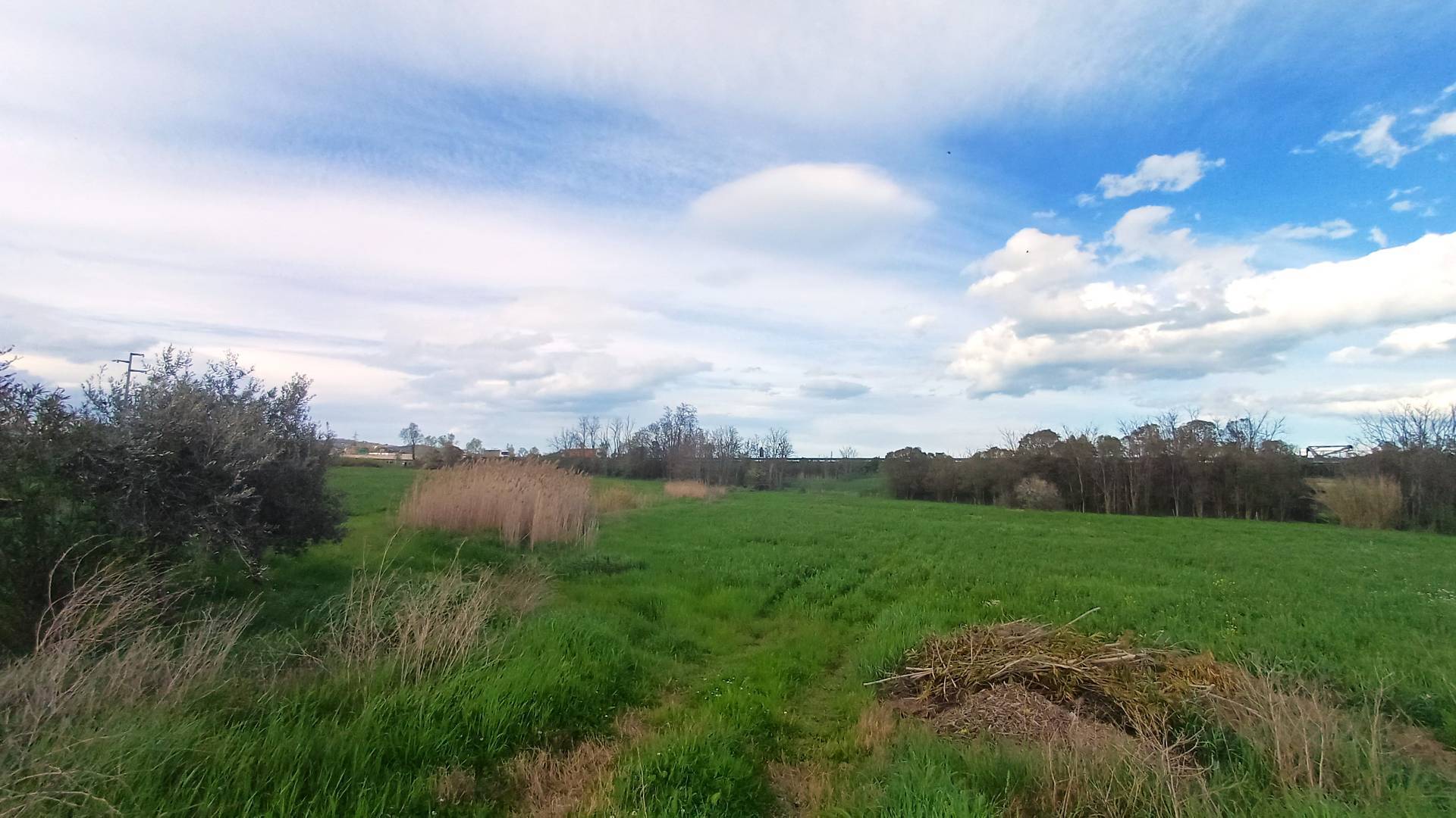 Terreno edificabile in vendita a Notaresco