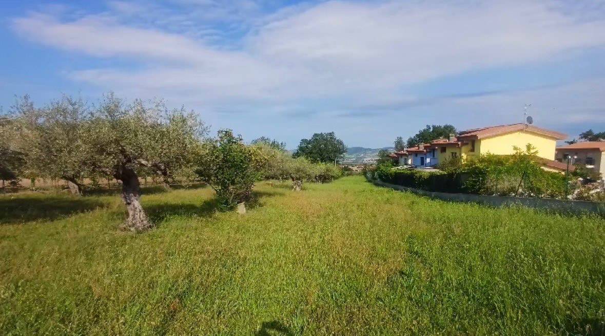 Terreno edificabile in vendita a Rosciano, Villa Oliveti