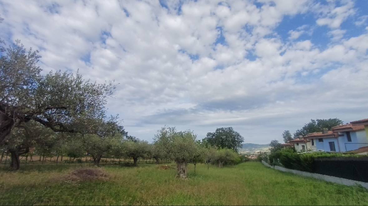 Terreno edificabile in vendita a Rosciano, Villa Oliveti