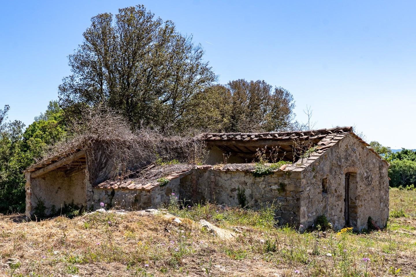 immagine annuncio 2 di 6