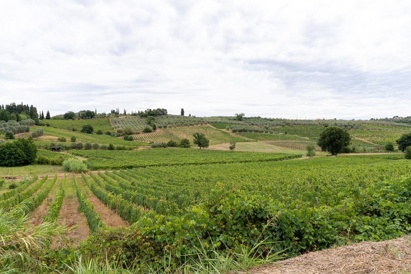 immagine annuncio 3 di 6