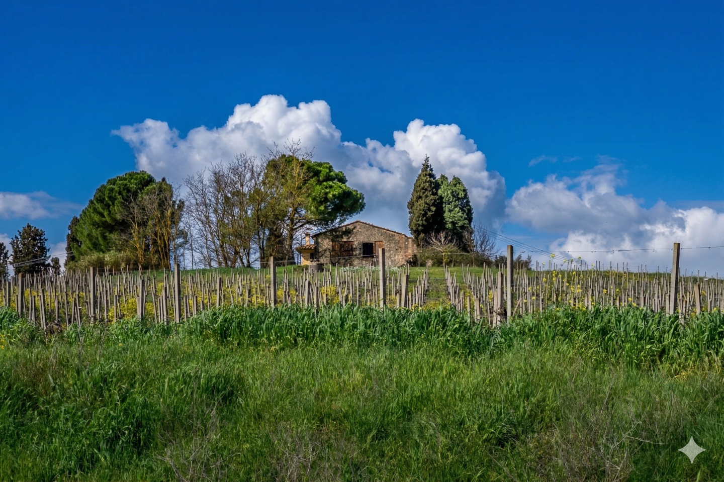 Rustico con giardino, Vinci sovigliana
