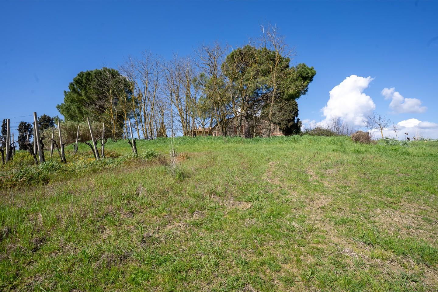 Rustico con giardino, Vinci sovigliana