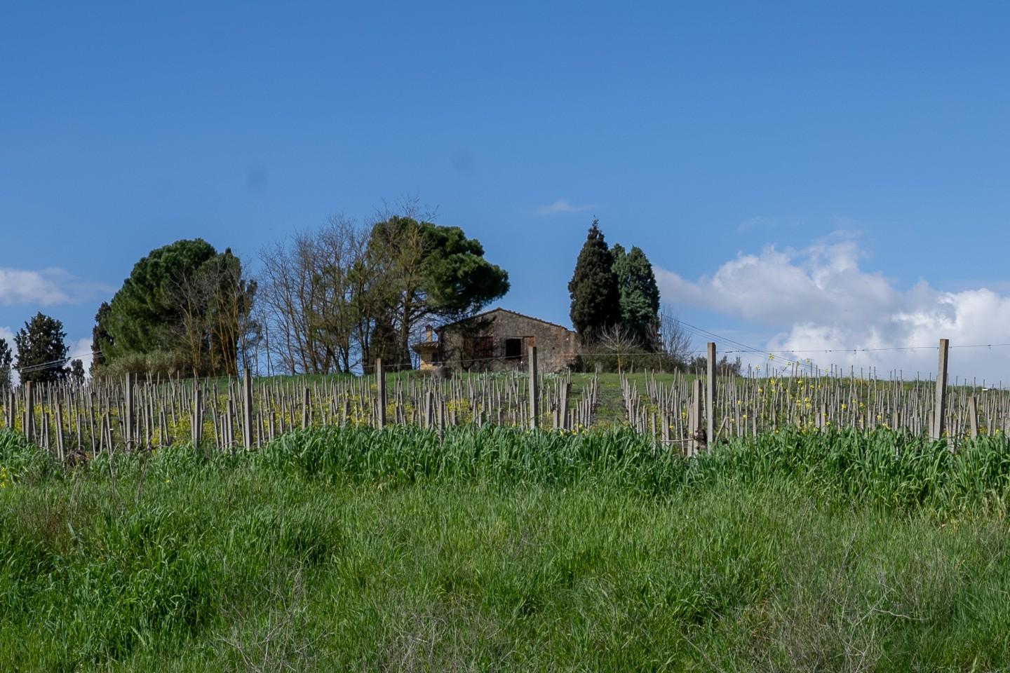 Rustico con giardino, Vinci sovigliana