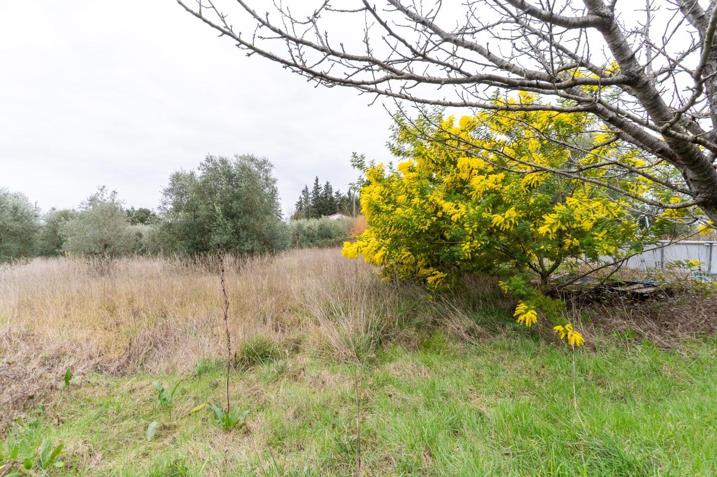 Casa indipendente da ristrutturare, Vinci san pantaleo