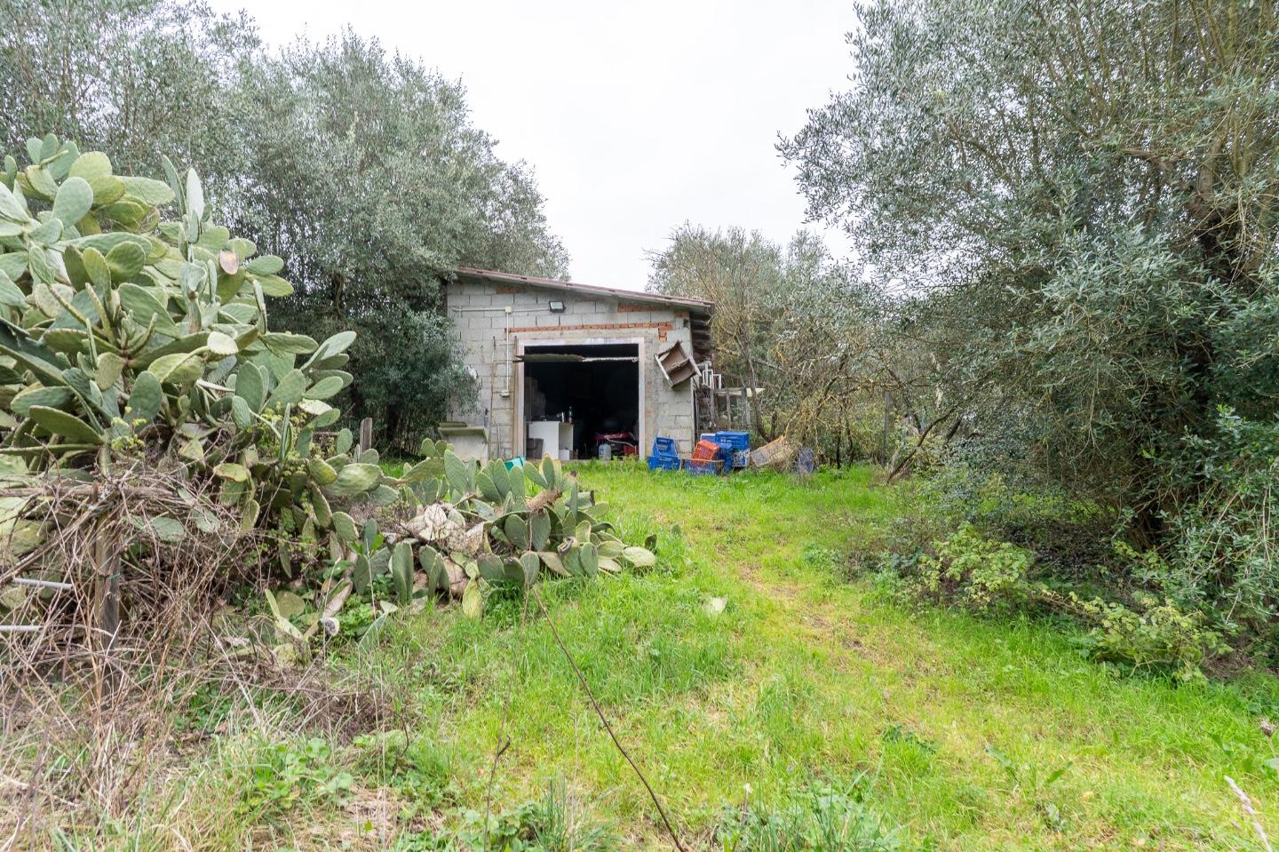 Casa indipendente da ristrutturare, Vinci san pantaleo