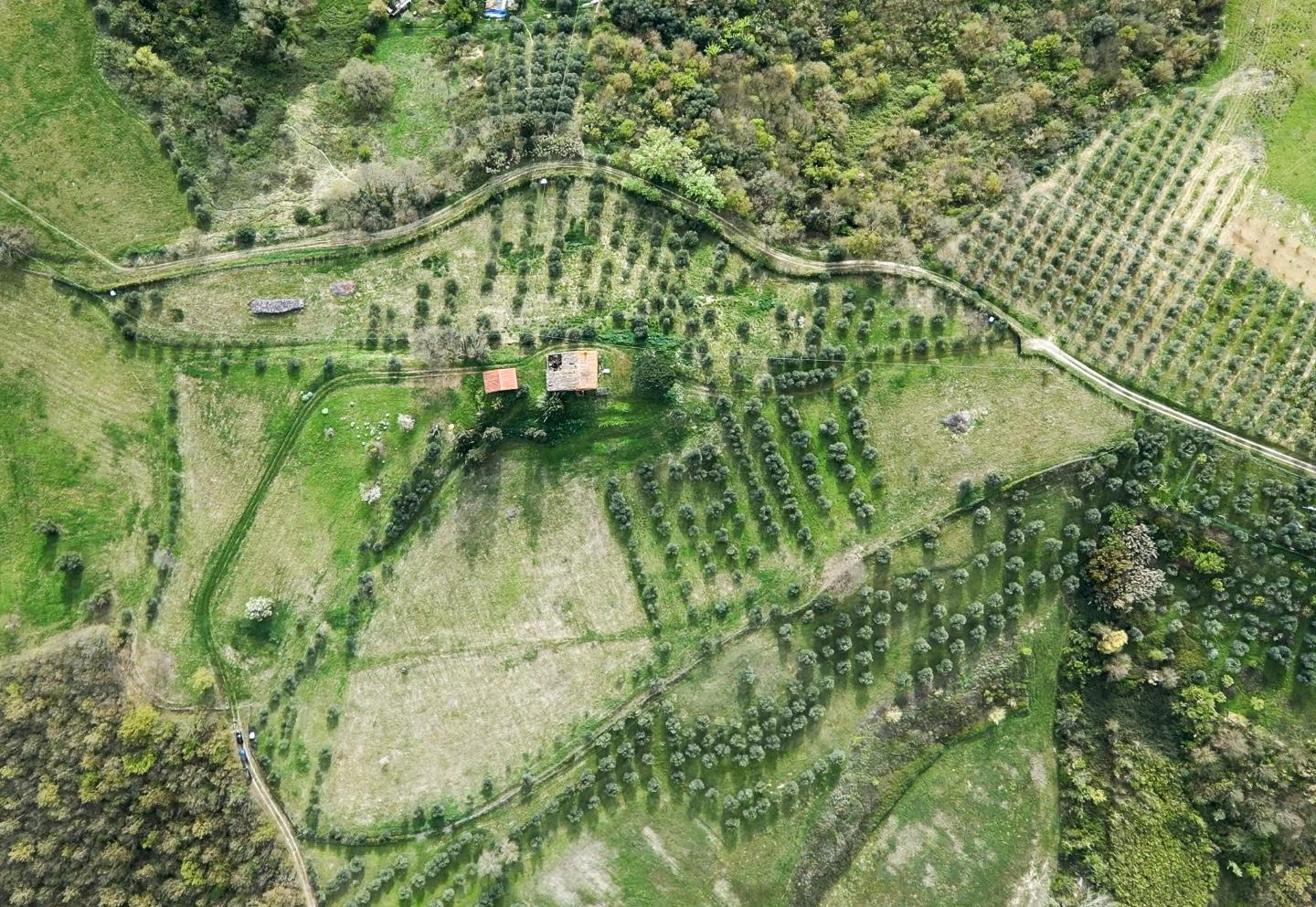 Rustico con giardino a Fucecchio
