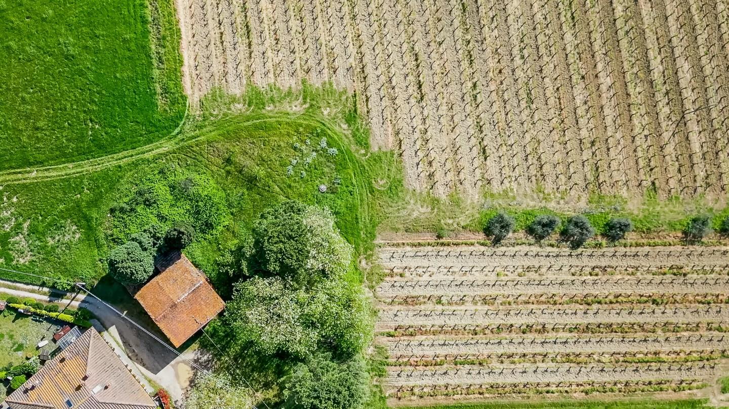 Rustico con giardino, Vinci sovigliana