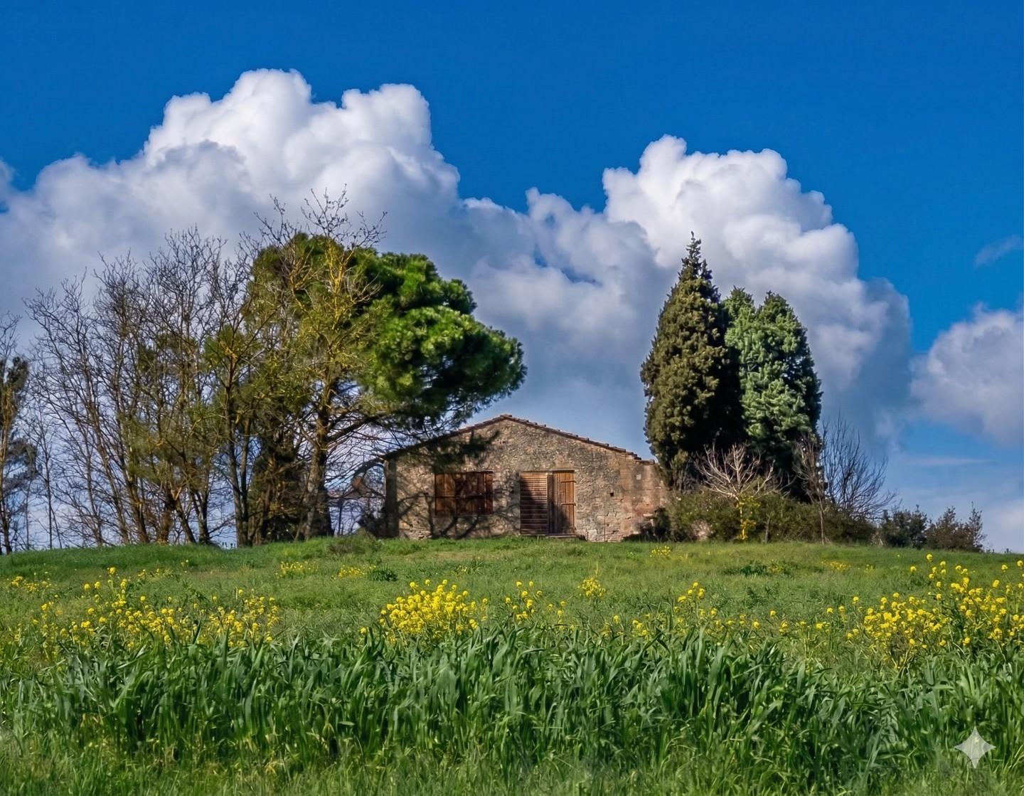 Rustico con giardino, Vinci sant'ansano