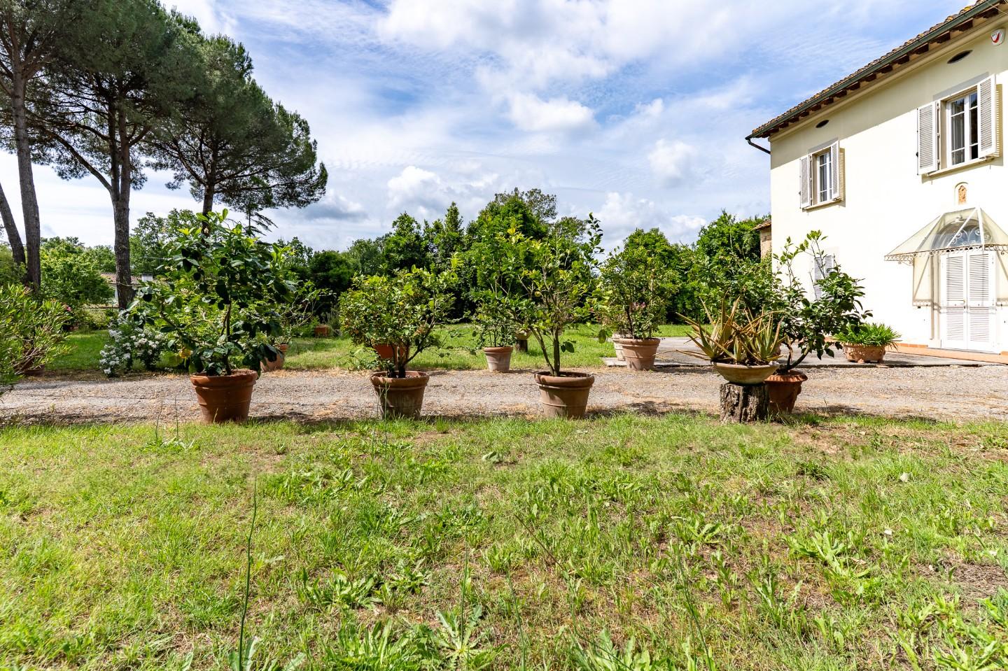 Villa con giardino, Fucecchio pinete