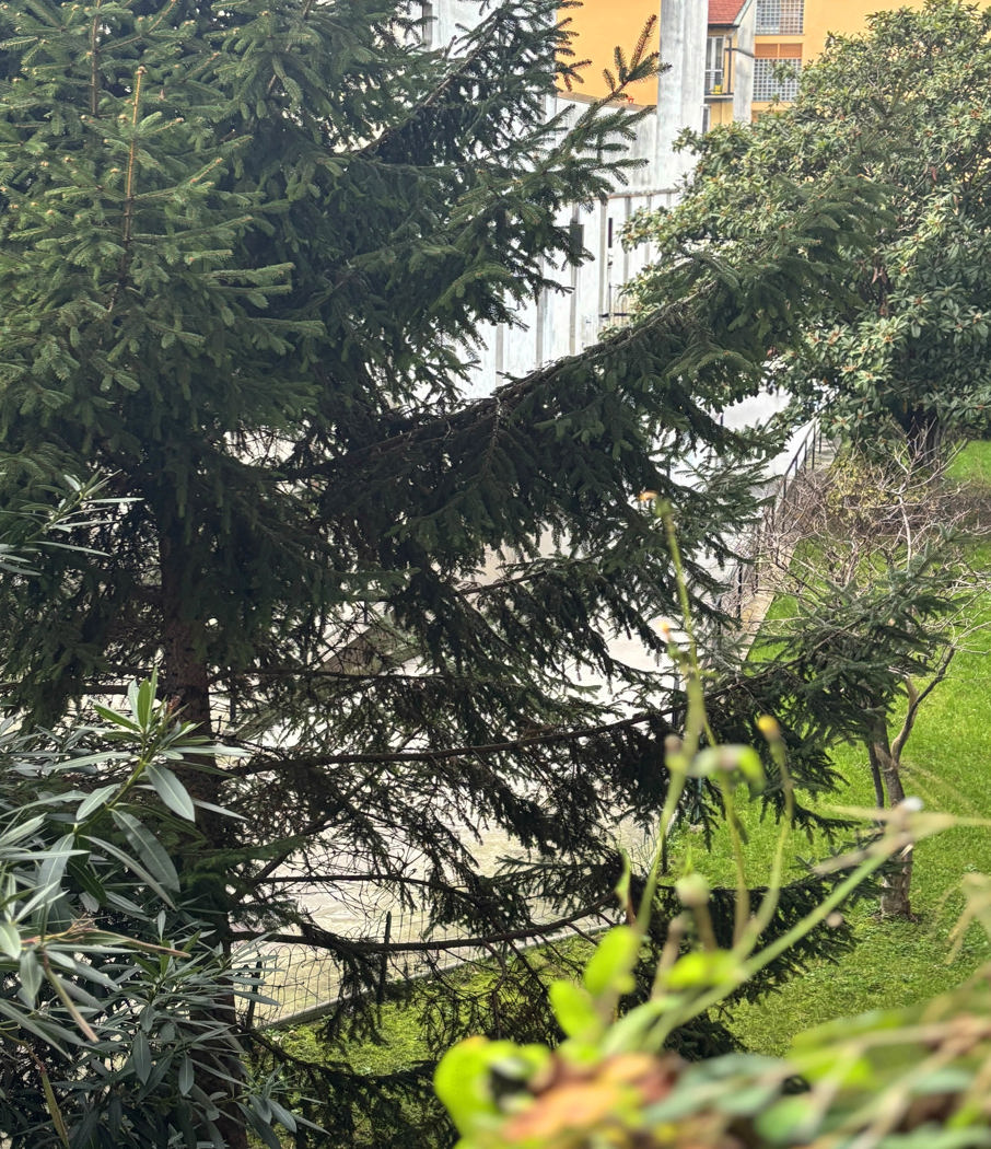 Trilocale ristrutturato a Milano