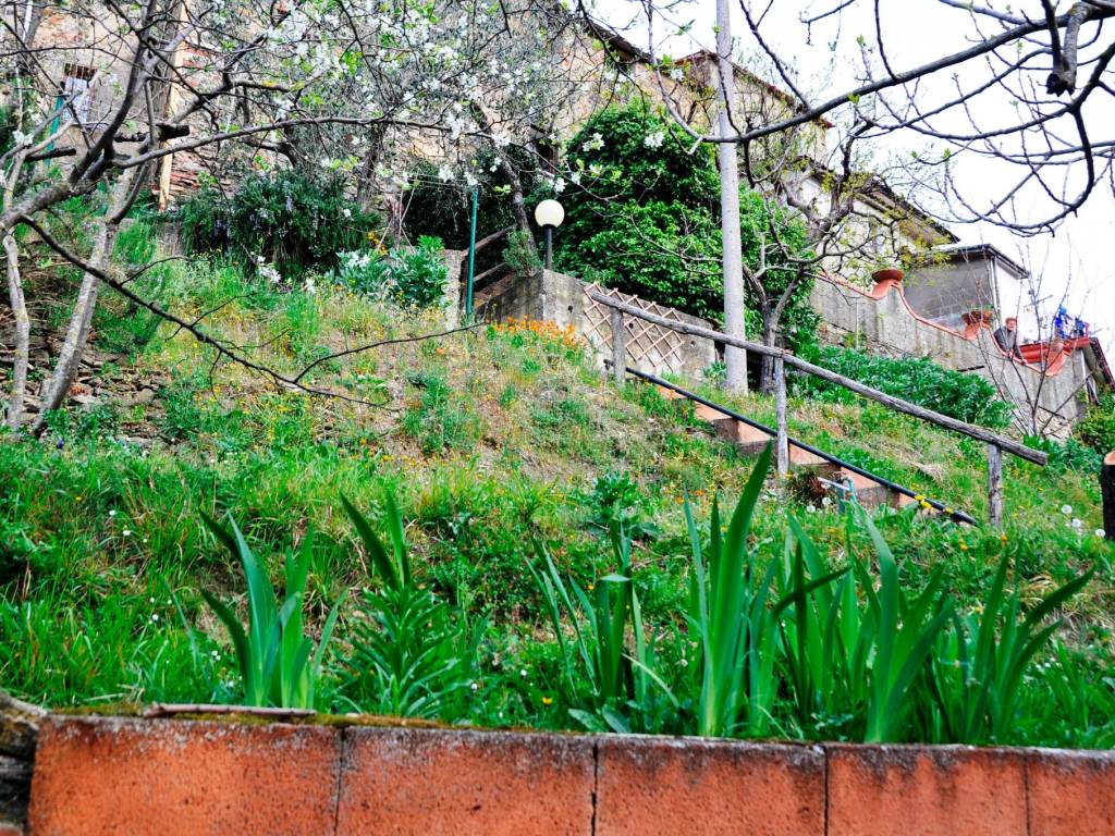 Rustico con giardino a Ortonovo