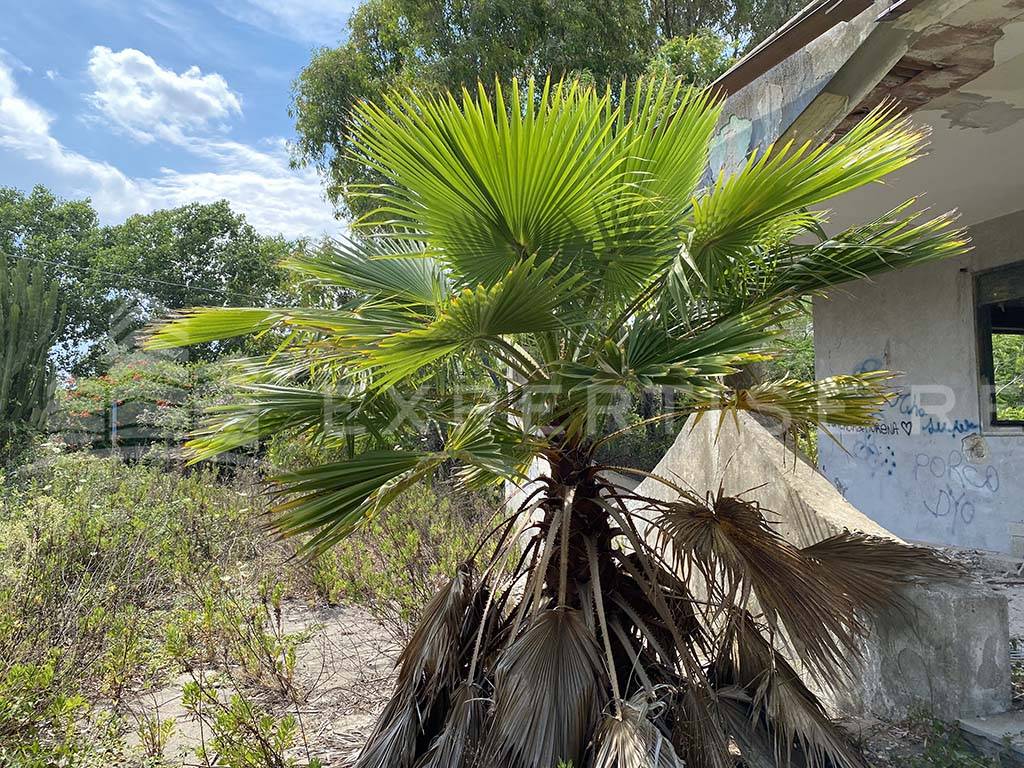 Casa singola in vendita a Siracusa