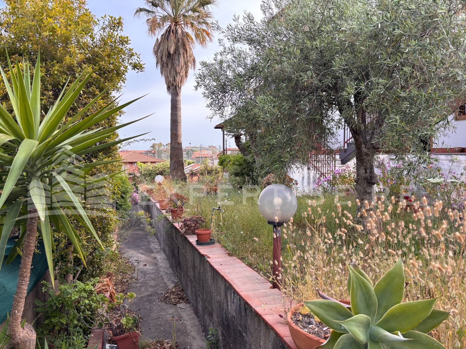 Intero stabile residenziale in vendita a Mascalucia