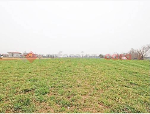 Terreno Agricolo in vendita a Arconate
