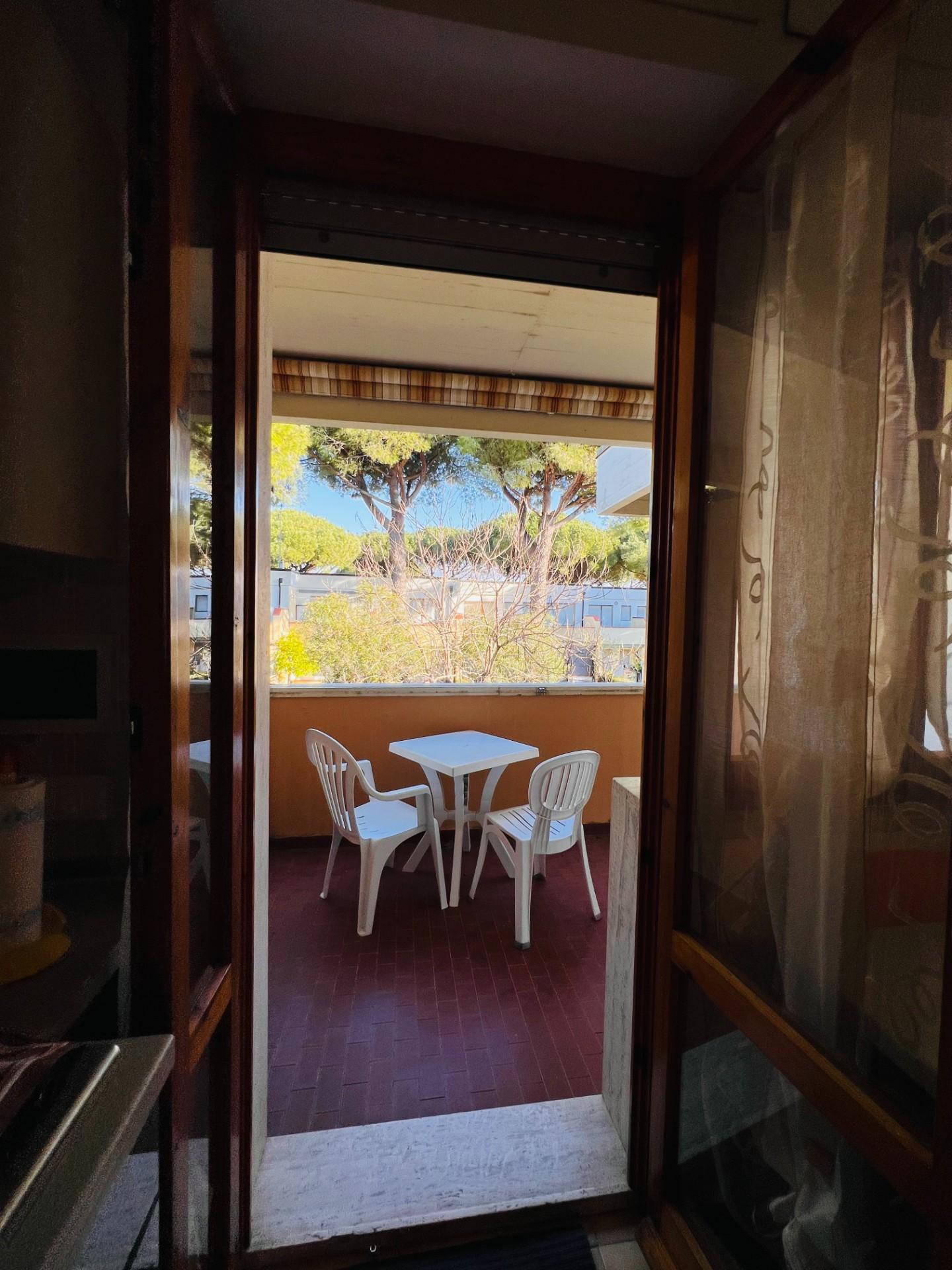 Bilocale in vendita, Bibbona marina di