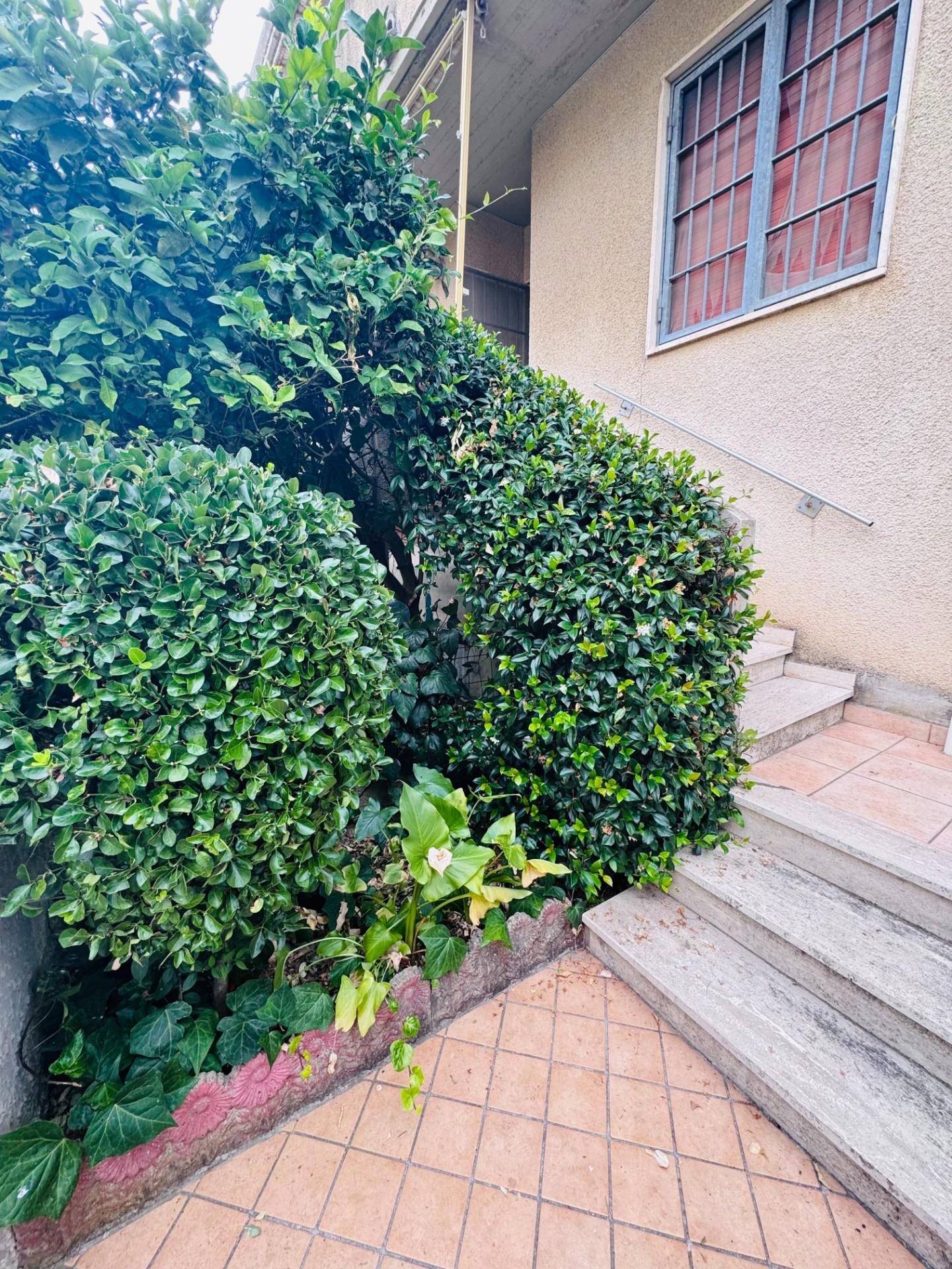 Trilocale con giardino, Cecina marina