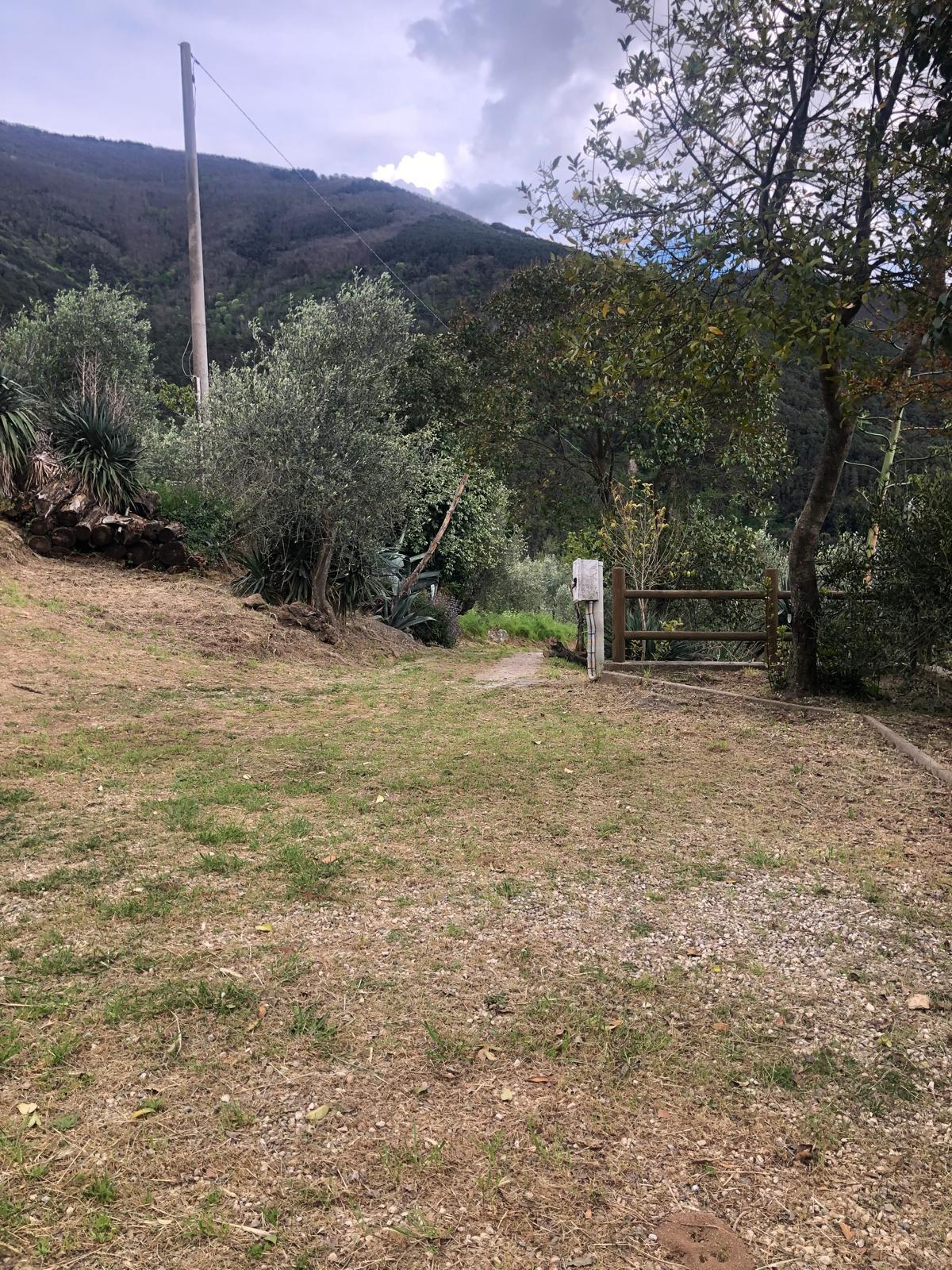 Casa indipendente arredata in affitto a Calci