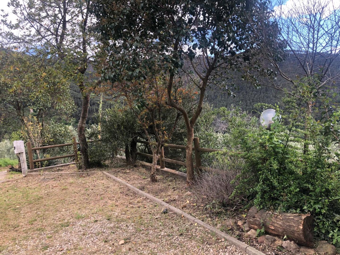 Casa indipendente arredata in affitto a Calci