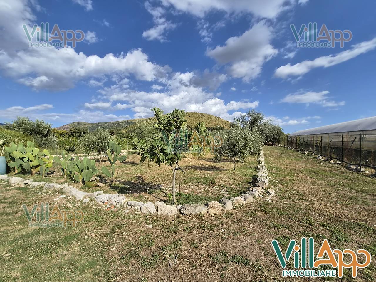 Terreno Agricolo in vendita a Fondi, Semicentro