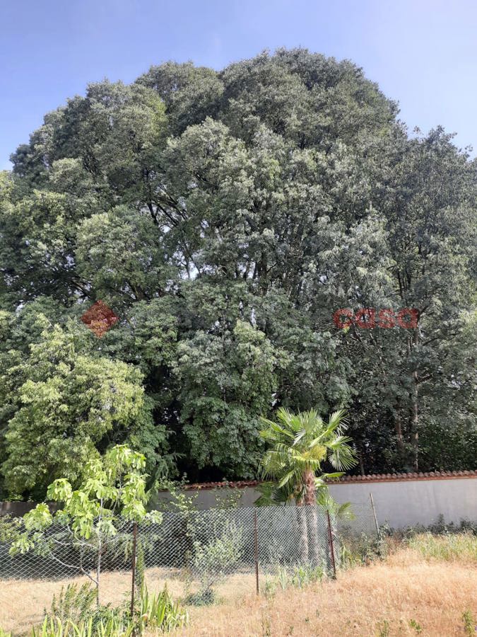 Rustico in vendita a Buscate