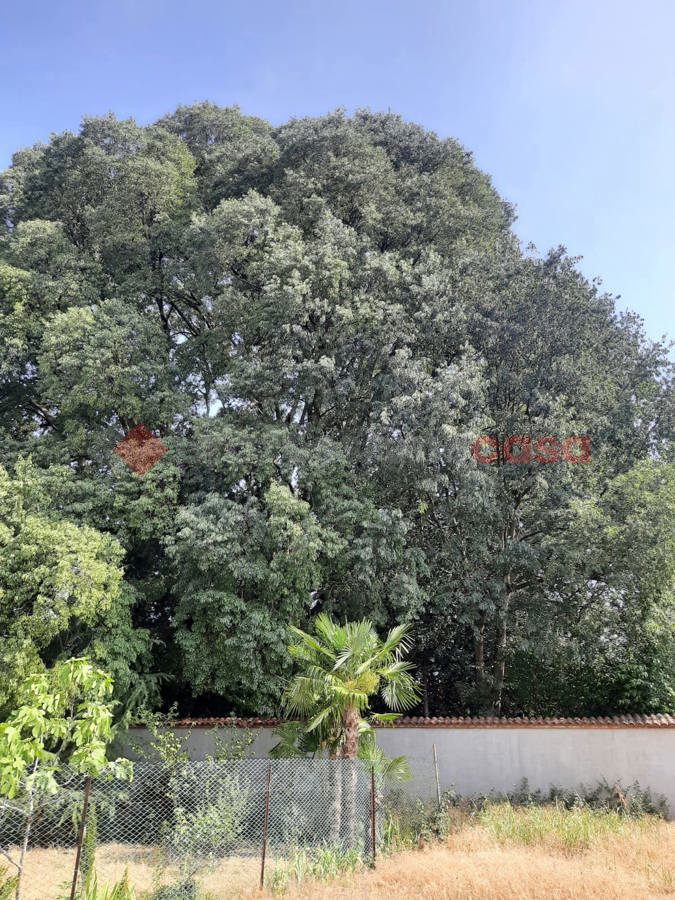 Rustico in vendita a Buscate