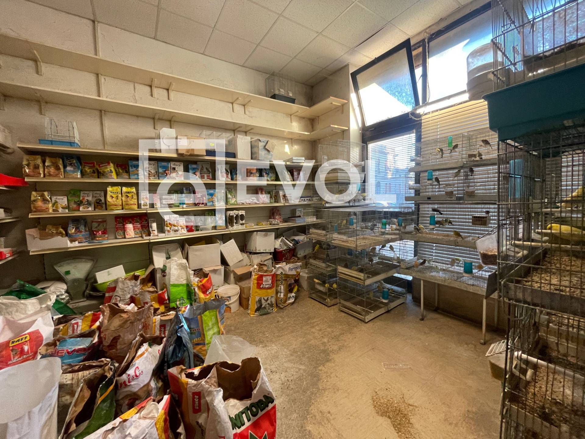 Locale commerciale in vendita a Gorizia