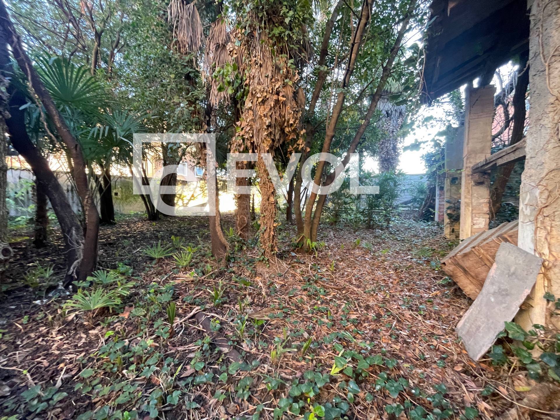 Cielo Terra in vendita a Codroipo