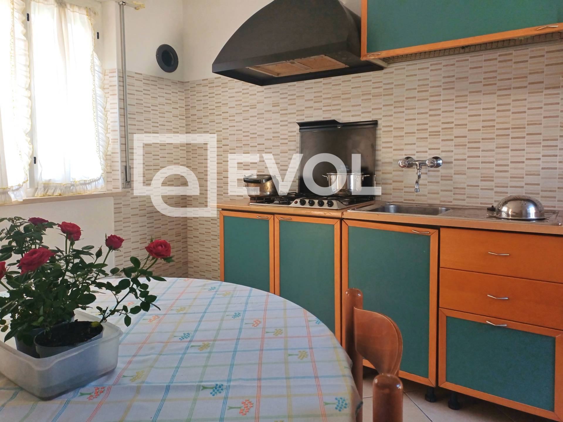 Cielo Terra in vendita a Porpetto