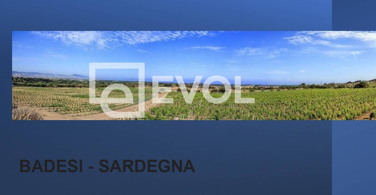 Terreno Agricolo in vendita a Badesi