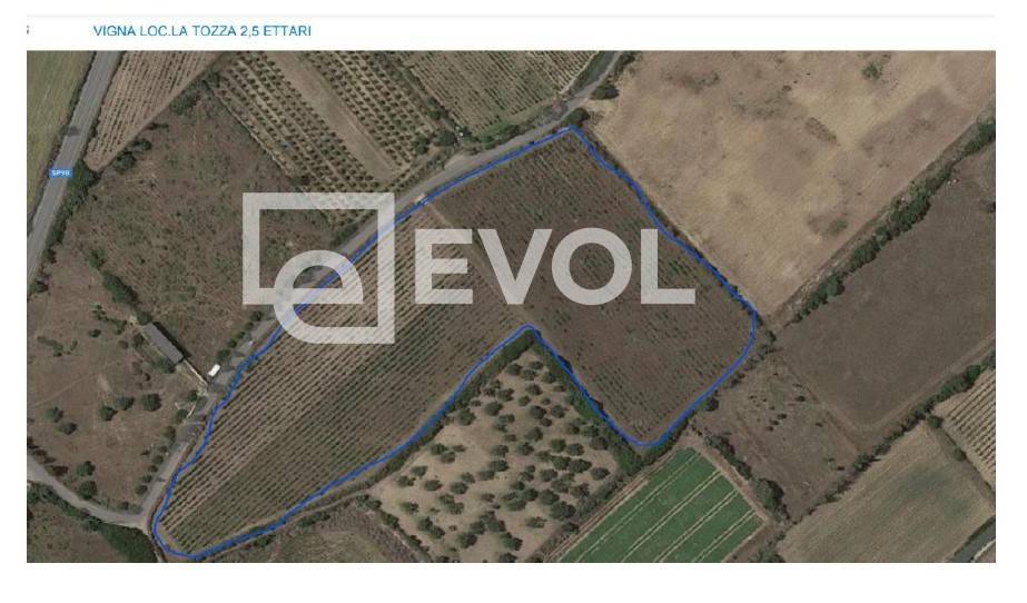 Terreno Agricolo in vendita a Badesi