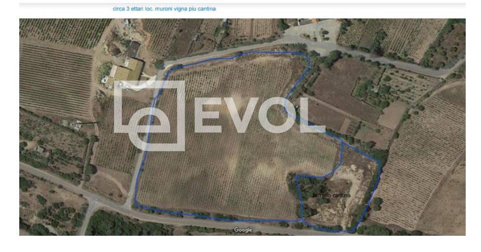 Terreno Agricolo in vendita a Badesi