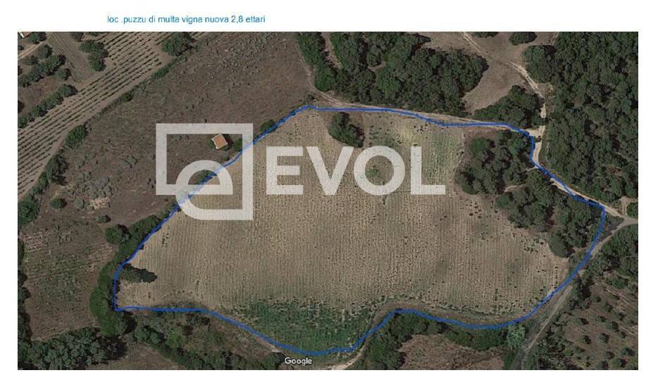 Terreno Agricolo in vendita a Badesi