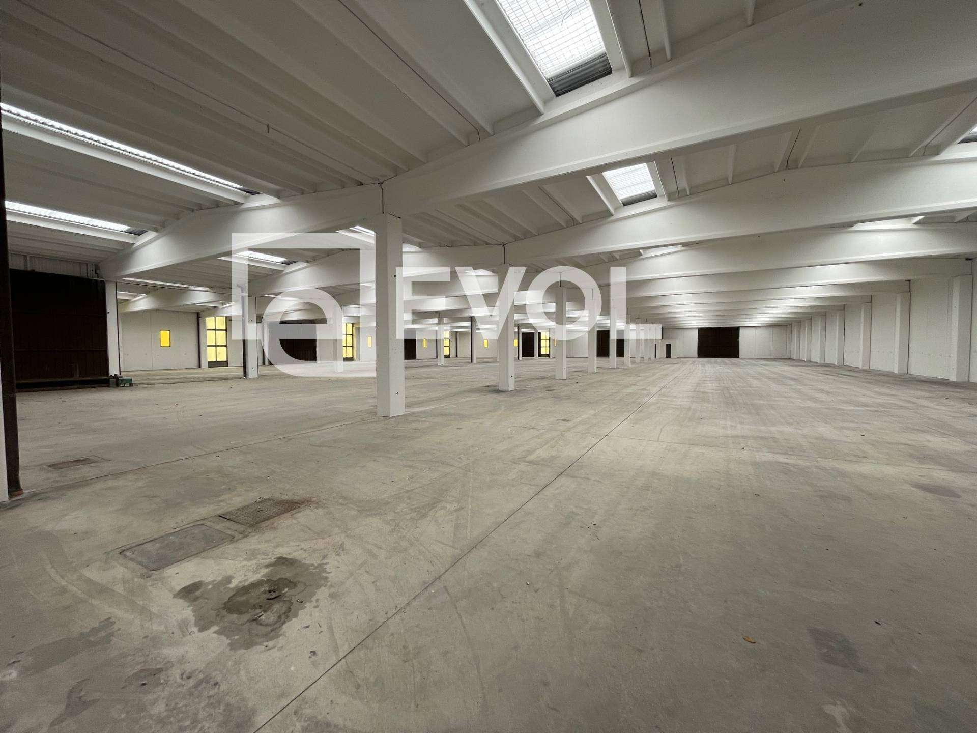 Capannone in vendita a Premariacco