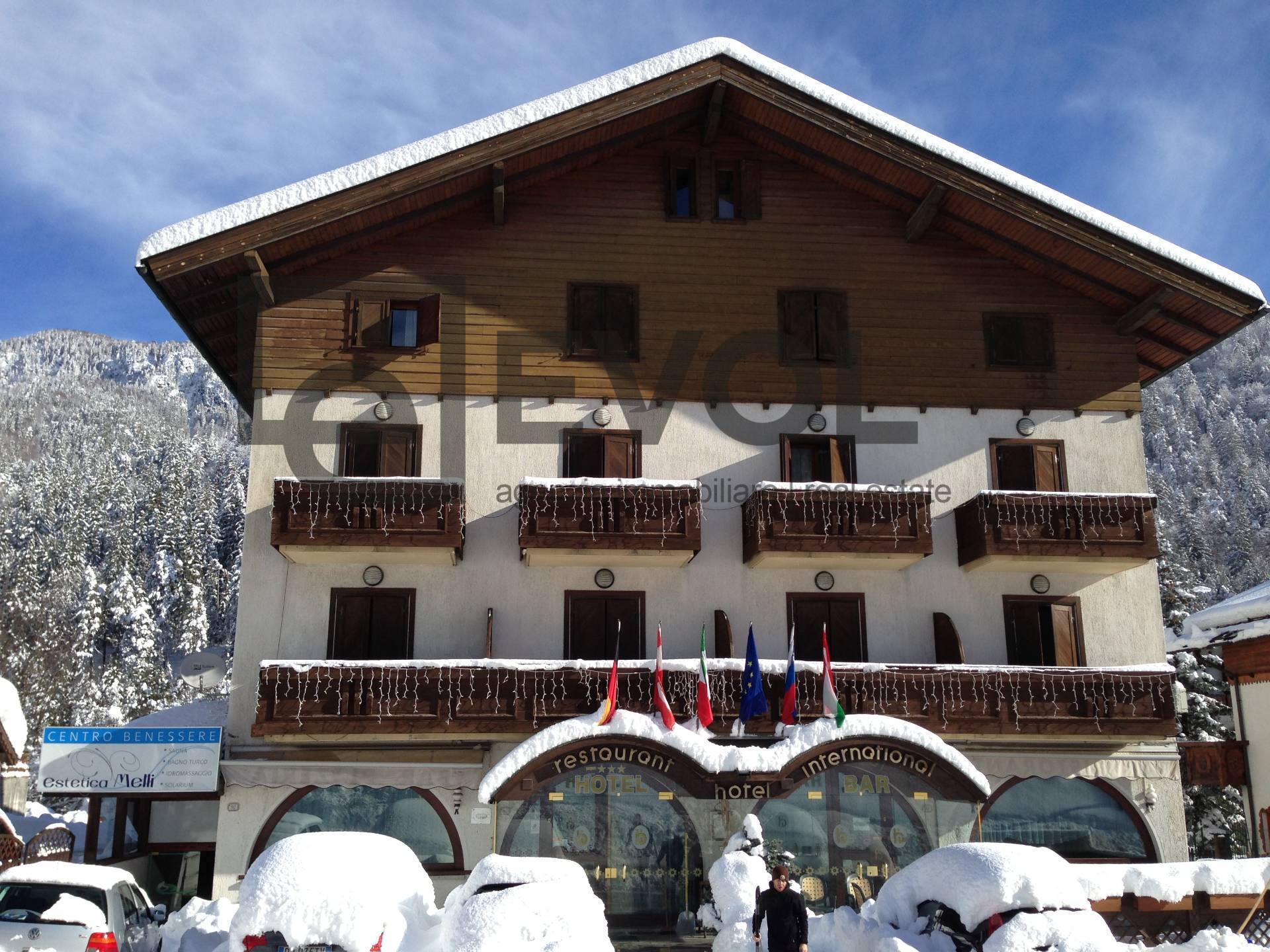 Attivit commerciale in vendita a Tarvisio