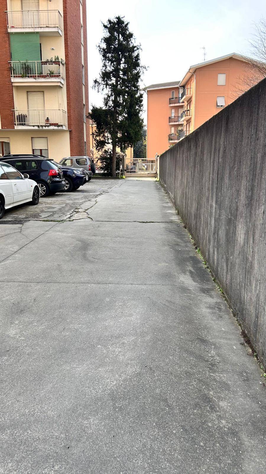 immagine annuncio 3 di 6