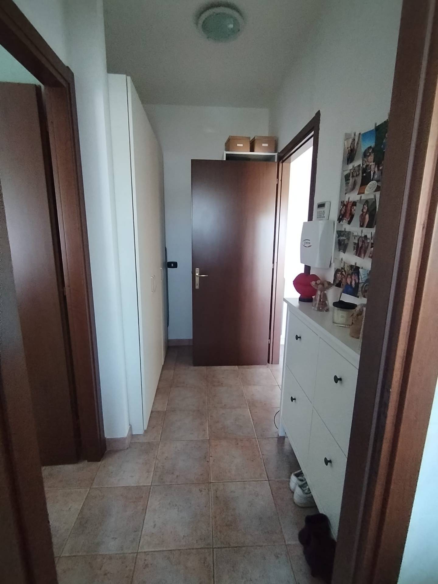 Appartamento in affitto a Solbiate Olona