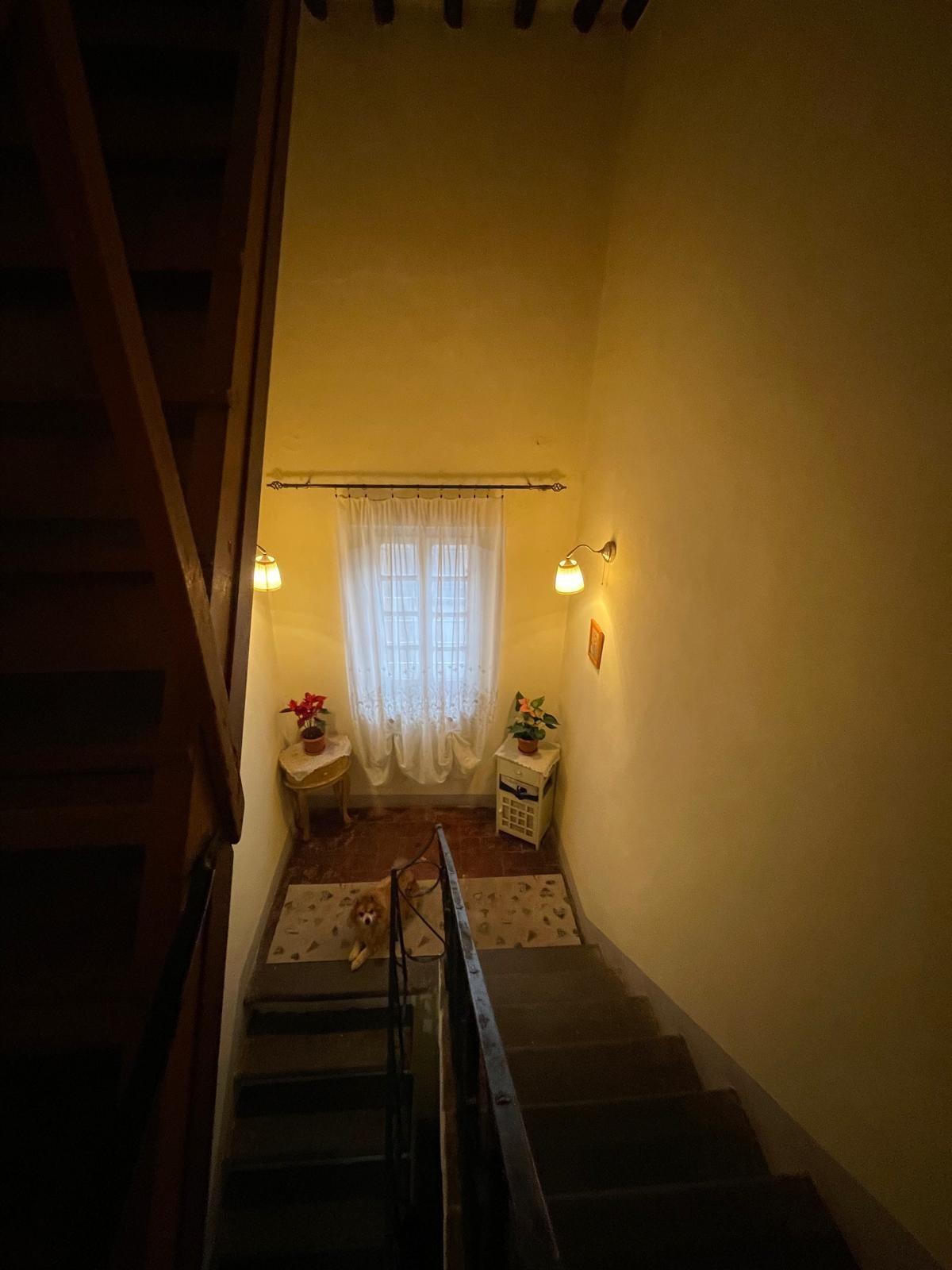 Casa indipendente con giardino, Capannori colle di compito