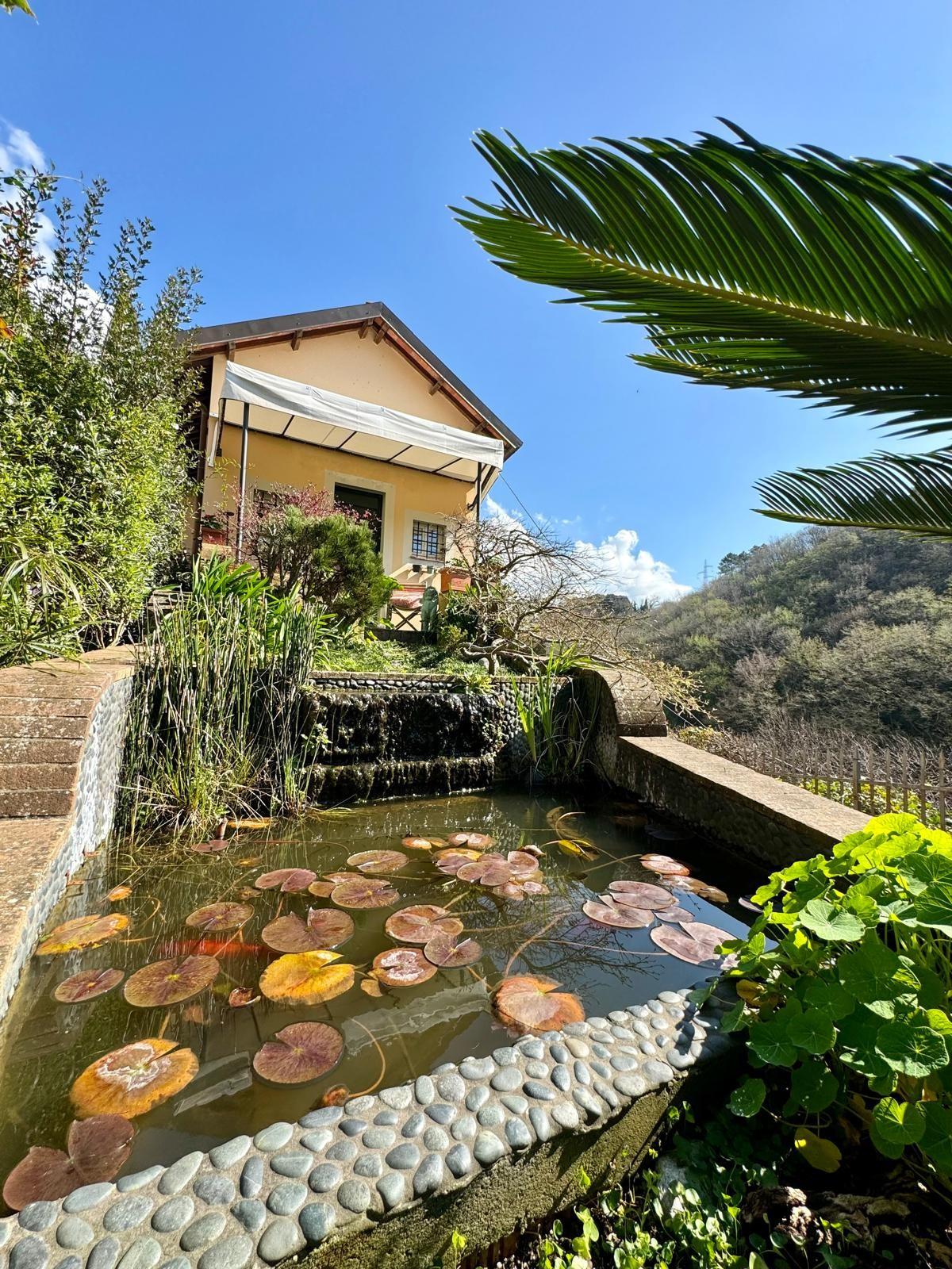 Casa indipendente in vendita, Camaiore monteggiori