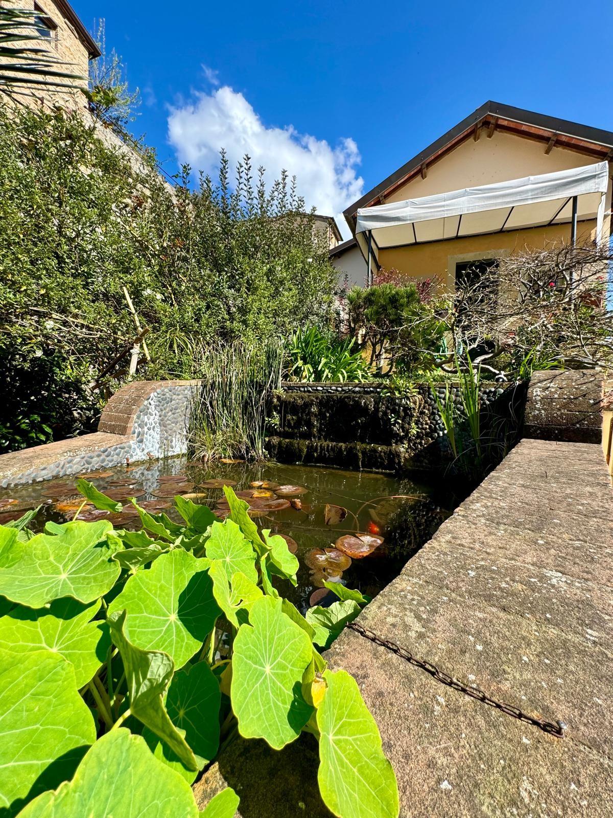 Casa indipendente in vendita, Camaiore monteggiori