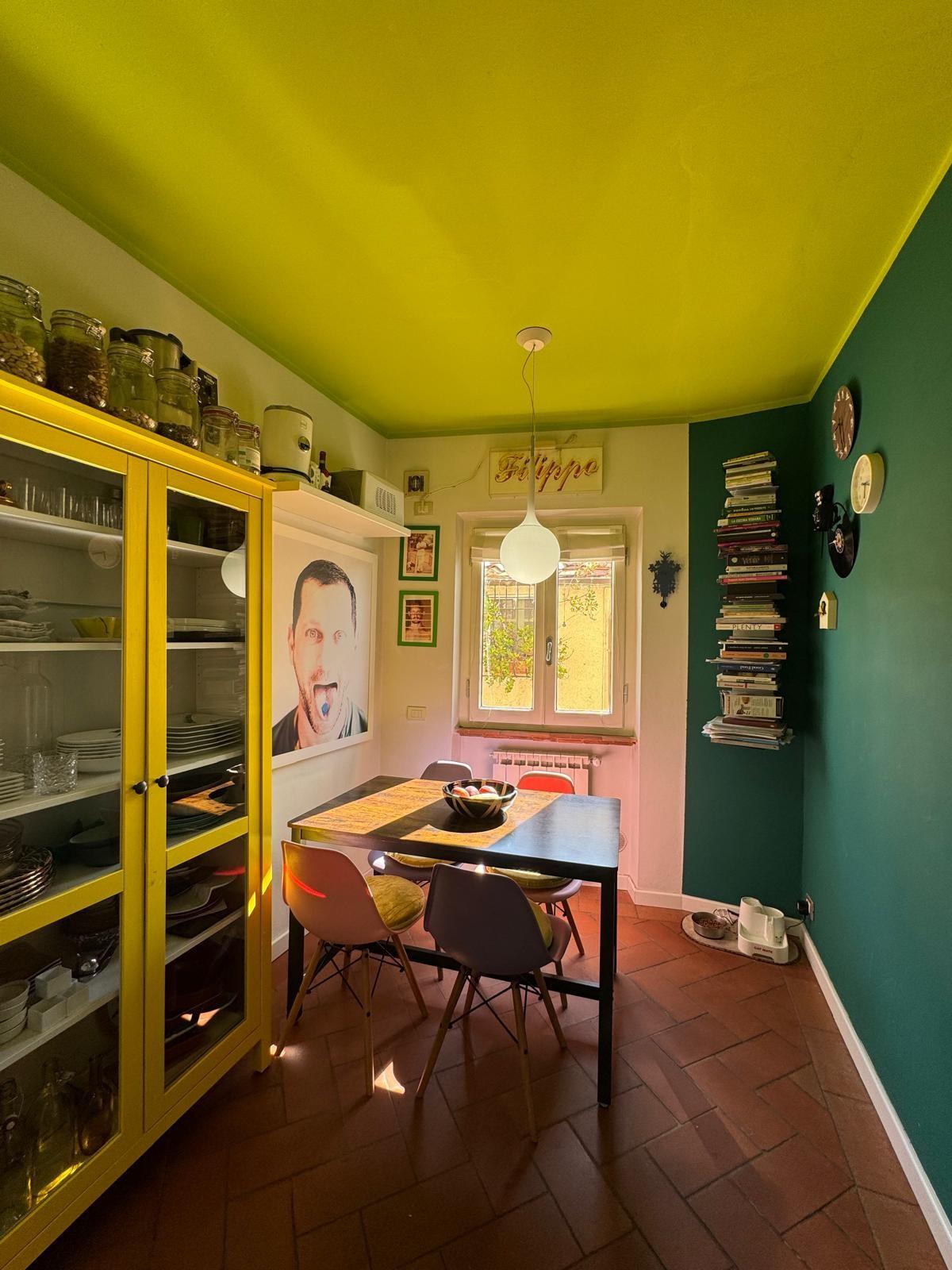 Casa indipendente in vendita, Camaiore monteggiori