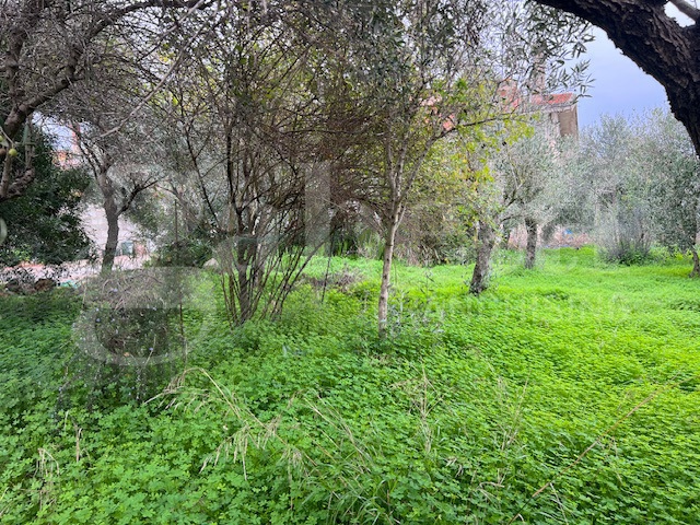 Casa indipendente in vendita a Cabras