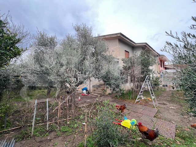 Casa indipendente in vendita a Cabras