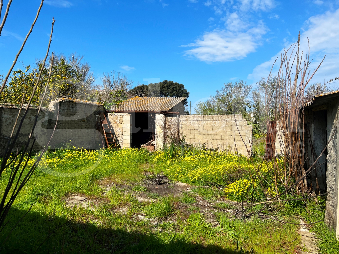 Casa indipendente con giardino a Oristano