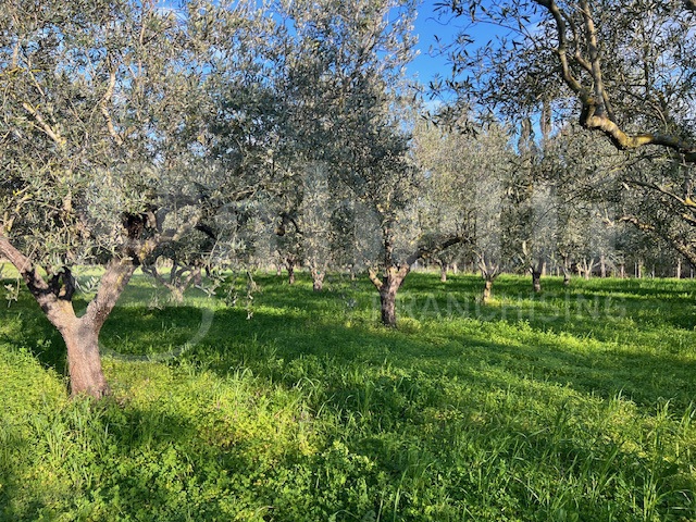 Villa in vendita a Oristano