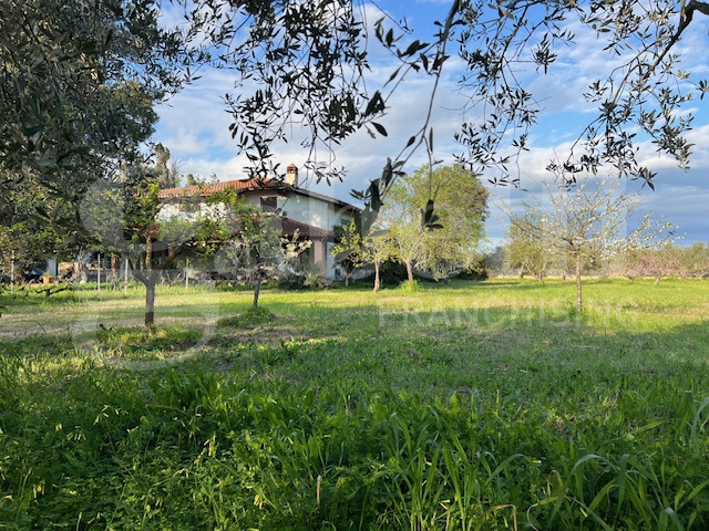 Villa in vendita a Oristano