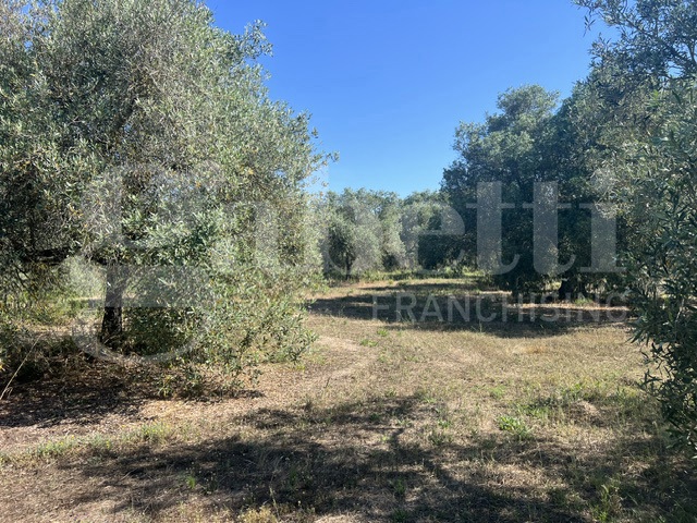 Capannone in vendita a Cabras