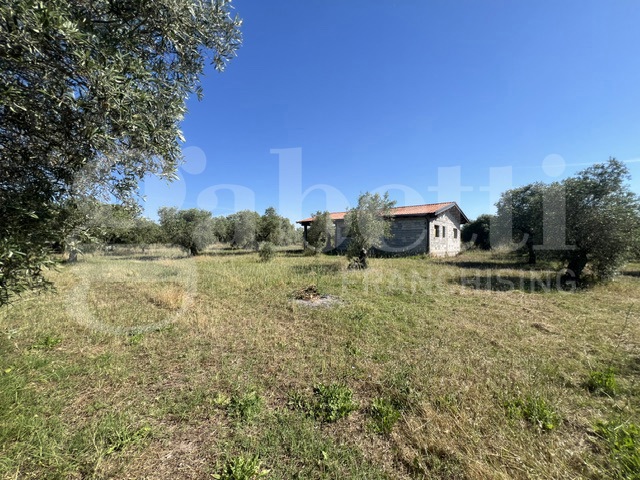 Capannone in vendita a Cabras