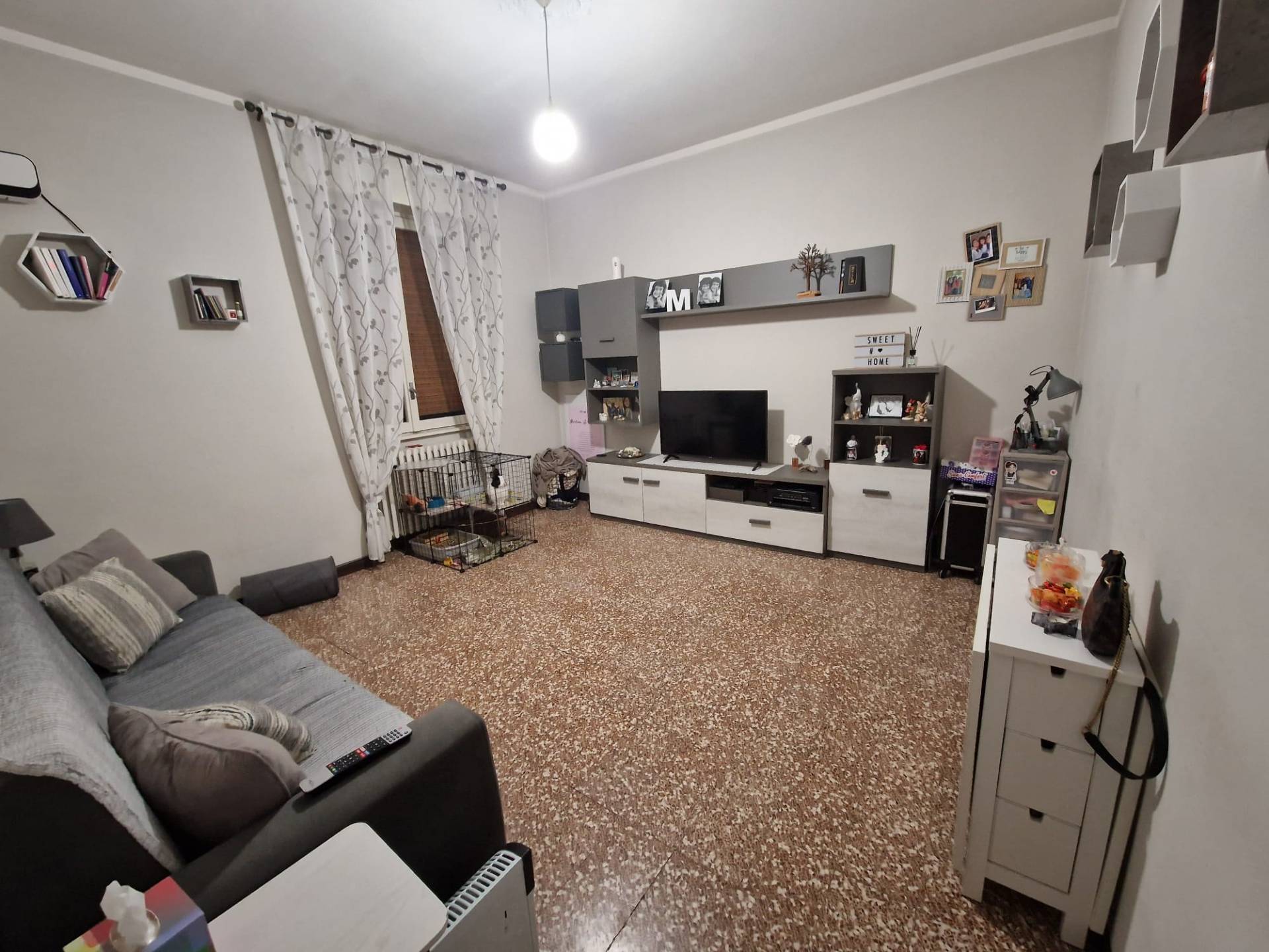 immagine annuncio 3 di 8